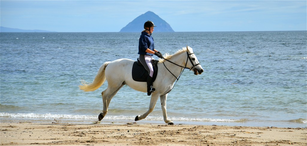 Horse and rider on the island of Arran with Ailsa Craig seen out to sea